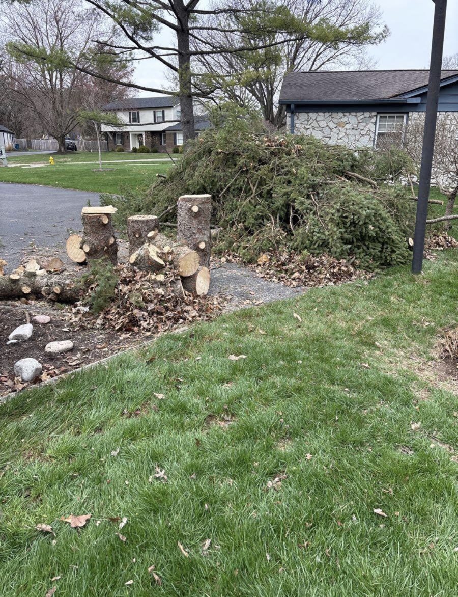 Before: brush and cut log pile in yard