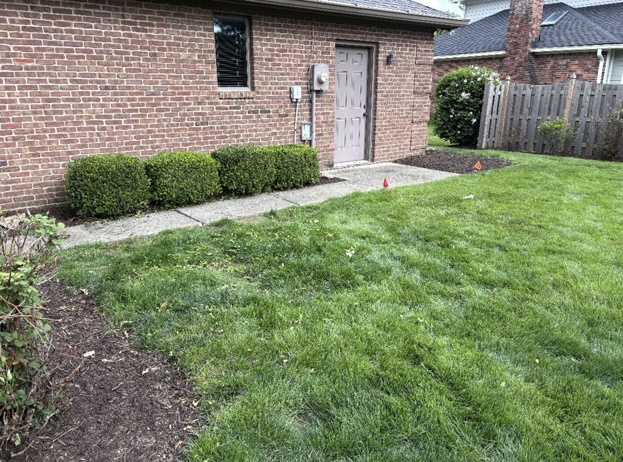 After: neatly trimmed hedges